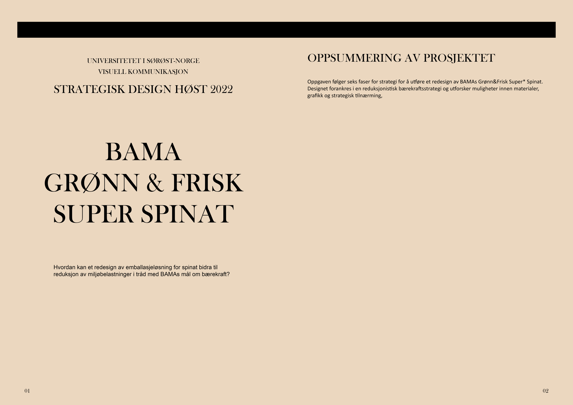 spinatrapport oppslag